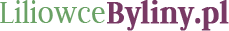 Liliowce Byliny - Logo